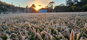 Paraná registra 2,3ºC em outubro e pode ter geada na segunda